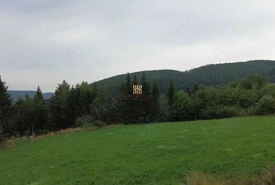 Teren de 5023 mp, în Voroneț - 1