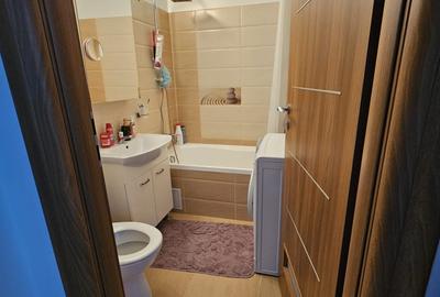 2Camere Ion Mihalache Ciuperca - 9