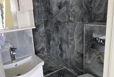 Duplex cu 4 camere cu Teren 210 Mp în Lazu - 18