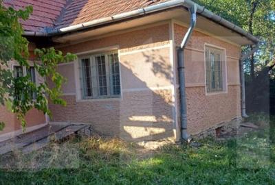 Casa taraneasca cu 3 camere, Turia Jos, - 13