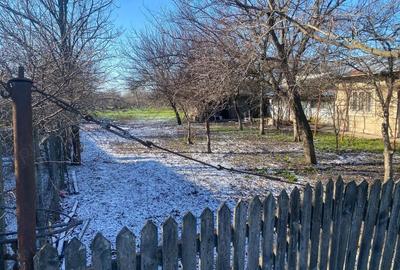 Casă cu Teren 2000 Mp în Cuza Vodă - 3