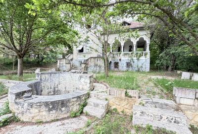 Casă individuală cu 6 camere cu Teren 10000 Mp în Caransebeș - 1