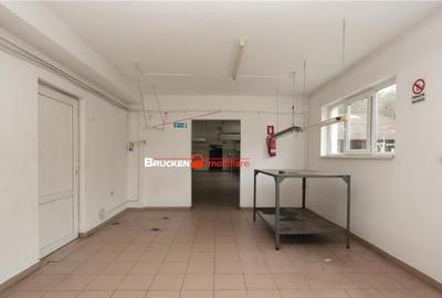 Hala de inchiriat in Marghita - 8