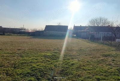 Casă cu 5 camere în Checea - 10