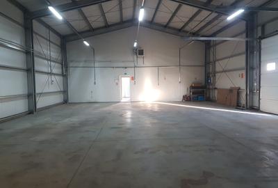 Hala industriala, 300mp, apa canalizare birouri teren 700mp ingradita, acces TIR - 3