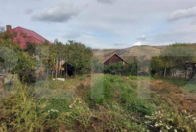 Casa de vanzare, 3 camere, 4663 mp teren, CF, Sat Barai - 27