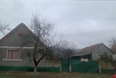 Casă cu 3 camere în Cuvin - 1