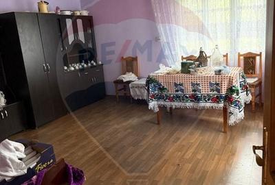 Casă individuală cu 2 camere cu Teren 4890 Mp în Hărnicești - 3