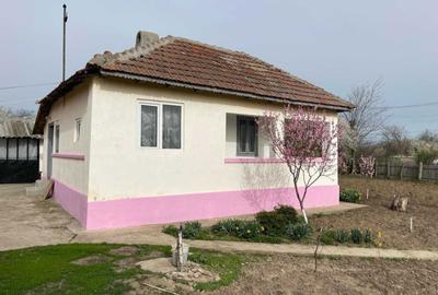 Casă cu 4 camere în Ciorani - 2