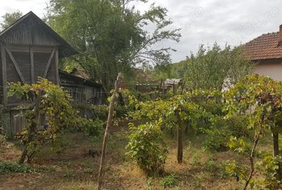 Casă cu 5 camere cu Teren 3200 Mp în Stângăceaua - 3