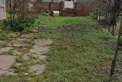 Casă cu 2 camere în Crivina - 7