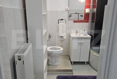 Apartament 2 camere, 50 mp, petfriendly, zona Muzeul Apei - 8