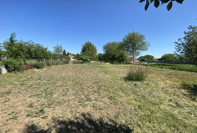 Spațiu comercial, în Sânandrei - 8