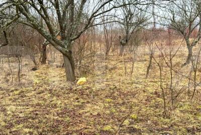 Teren de 2900 mp, în Central - 4