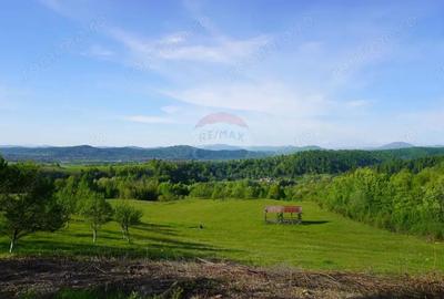 Teren 15,000mp Sighetu Marmatiei / Strada Mocani?ei - 1