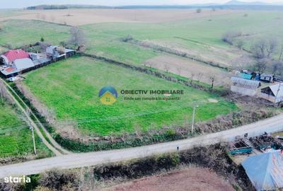 Spațiu comercial, în Cășăria - 3