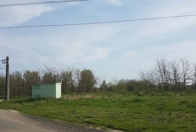 Teren 1.598mp, deschidere dubla, cea mare de 70ml, strada Arinilor, Gheraiesti - 3