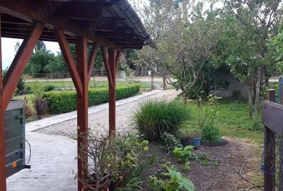 Casă cu 3 camere cu Teren 23000 Mp în Moftin - 1