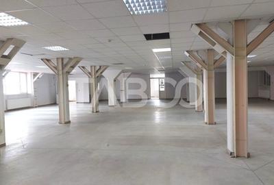 Spatiu industrial 320 mp depozite si birouri acces TIR Viile Sibiului - 1