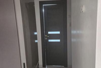 Apartament cu 2 camere decomandat în Satu Nou - 2