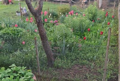 Casă individuală cu 3 camere cu Garaj în Lipănești - 6