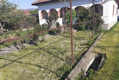 Casă cu 4 camere cu Teren 1200 Mp în Bâltișoara - 2