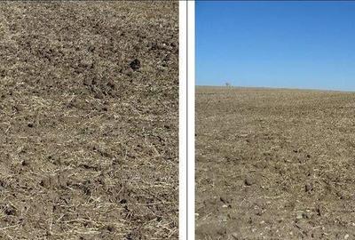 Teren intravilan Valu lui Traian, cota parte 3/48 ; ID: R... - 3