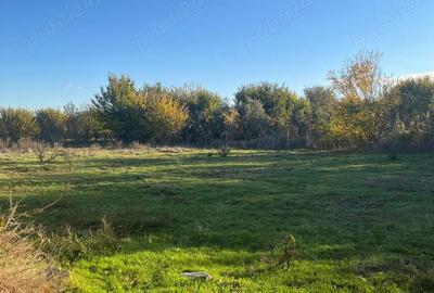 Casa pe malul Dunarii - 1