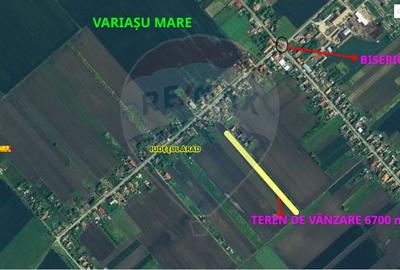 Teren de vânzare cu potențial construibil 6,700mp Variasu Mare - 5