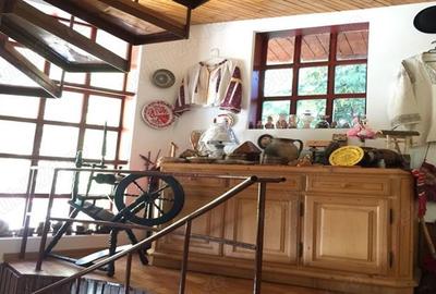 Vila P+2 cu 8 camere ?i 4600 mp teren Ideala pentru pensiune, casa multifamiliala sau investi?ie - 1