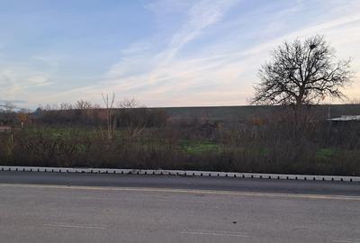 Teren în Cornetu - 2