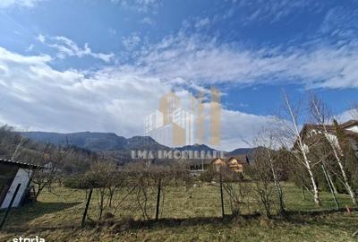 Teren de 1600 mp, în Tohănița - 2