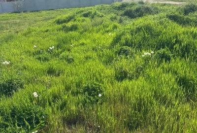 Teren Construcții intravilan de 1400 mp, în Preajba - 9