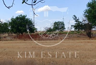 Ferma Pantelimon 10 hectare - 11