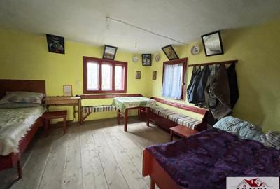Casa de vanzare in Muntii Apuseni cu 17.596 mp teren - 5
