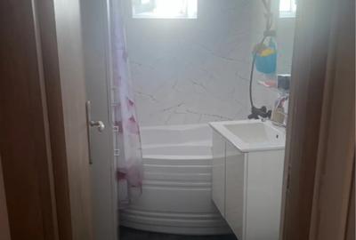 Apartament cu 2 camere decomandat în Calea Severinului - 1