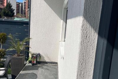 Vand duplex lipovei britis scholl aradului - 2