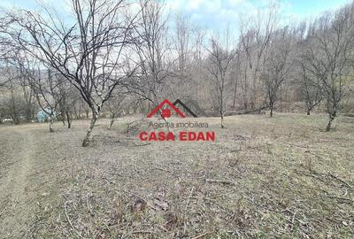 Teren de 3448 mp, în Provița de Jos - 4