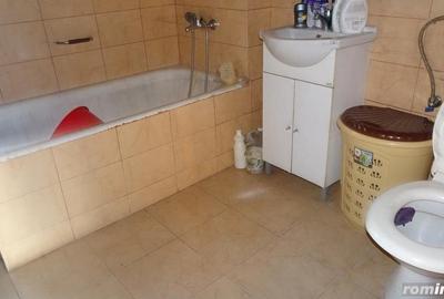 Vand casa curte si gradina in Branisca (la 15 Km de Municipiul Deva), suprafata de teren 2245 mp - 14