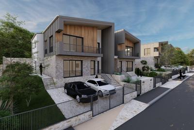 Teren cu AC, 2 Duplexuri, 4 unitati, Chinteni/Profi - 2