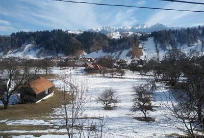 Vanzare teren Moeciu - Brasov - 6000 mp - 2