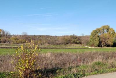 EXCLUSIVITATE -Teren Simnicul de Sus - 1000mp Intravilan - 2