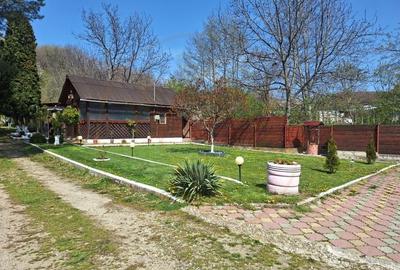 Casa de Vacanta - Un Colt de Rai , Stefanesti-Arges - 17
