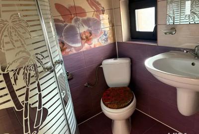 Proprietar dau spre inchiriere garsoniera - 5