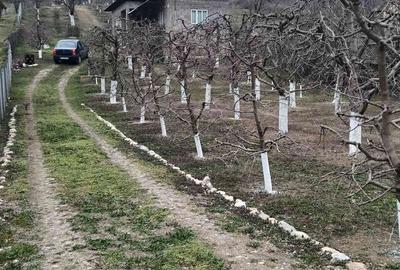 Casă cu 2 camere cu Teren 2800 Mp în Boțești - 1