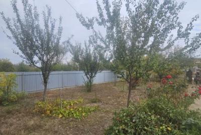 Casă cu 1 camere cu Teren 3000 Mp în Central - 5