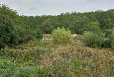 Casa P+1 de vanzare Ciocane?ti, sat Decindea, jud. Dambovi?a - 4