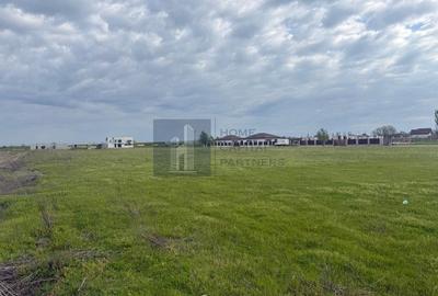 Teren agricol intravilan de 953 mp, în Dimieni - 5