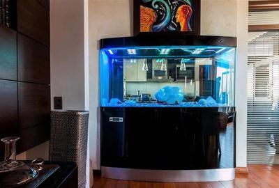 Apartament cu 8 camere decomandat în Herăstrău - 14