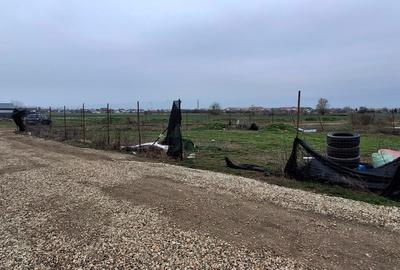 Teren Construcții intravilan de 429 mp, în Cornetu - 7